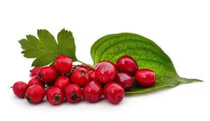 Rose hips and cherries.