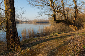 Fototapeta premium Grand parc de Miribel-Jonage, an urban park of 2200 hectares on the outskirts of Lyon was created to help control the flooding of the Rhône river