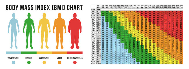 Body Masse index chart, vector illustration - obrazy, fototapety, plakaty
