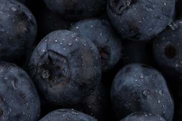 blueberries with water drops close up