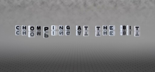 chomping at the bit word or concept represented by black and white letter cubes on a grey horizon...