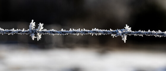 Stacheldraht im Winter