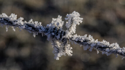 Makro Stacheldraht mit Eiskristalle