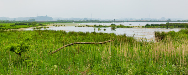 Landscape of Nature reserve De Onlanden in Groningen in The Netherlands