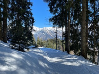 Vom schneebedeckten Weg von der Bergstation des Söllerecks in Oberstdorf zur Hochleite bietet sich...