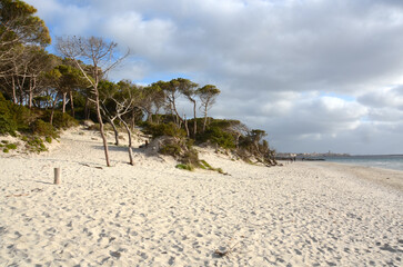 Fototapeta na wymiar Sandy beach in Alghero, Sardinia, Italy