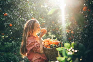 Smiling curly haired woman with basket picking oranges in the garden.