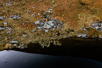 Obraz na płótnie Canvas Mountain lake between the mountain tops, a wild lake in the Carpathians.