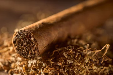 Rollo The cigar lies on the tobacco © Juri