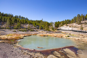 Lower geyser basin