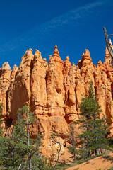 Bryce canyon