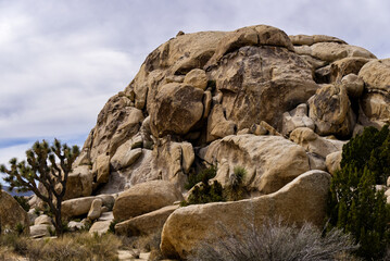 Joshua Tree National Park Hall of Horrors © Brunnell