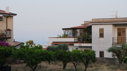 Vineyard and house in rural landscape 