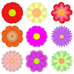 Set of colorful flowers, garden design