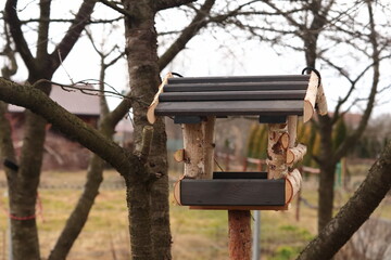 Karmnik dla ptaków. Feeder for the birds. © jarizPJ