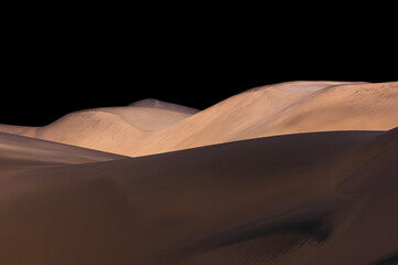 Fototapeta na wymiar camel in the desert country
