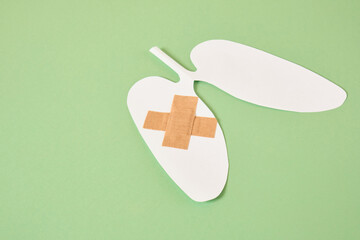 paper cut human lungs and stethoscope top view