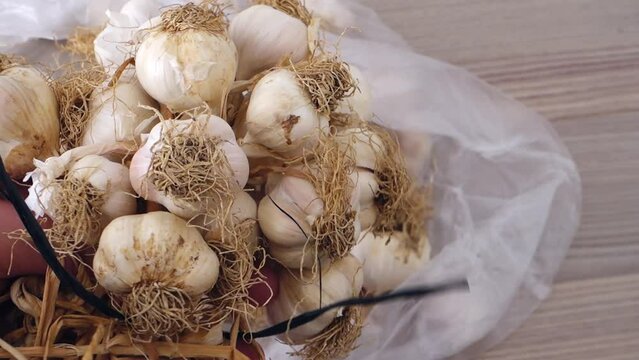 a bunch of dried garlic - lots of dried garlic heads,close-up dried garlic in a bunch,