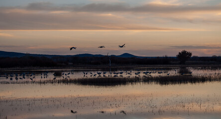 Naklejka premium Sunset landing