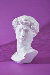 copy of the head of an antique statue of David on a purple background