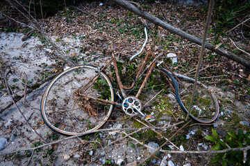 old rusty broken bicycle thrown in the bushes. stolen and abandoned