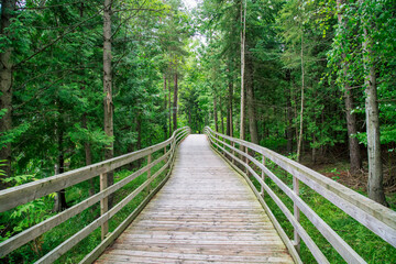 Beautiful view of the board walk at Island Lake Conservation area in Orangeville, Ontario, Canada - obrazy, fototapety, plakaty