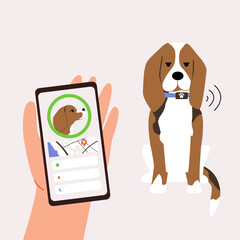 The beagle sits in a collar. Tracker for dogs. Application with geolocation in the phone. The location of the pet.