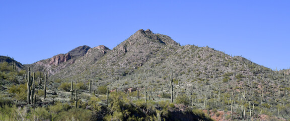 Arizona desert landscape under blue sky