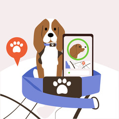 The beagle sits in a collar. Tracker for dogs. Application with geolocation in the phone. The location of the pet.