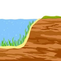 Tuinposter Water shore. Land in cross section. Coast of pond and bottom of lake. Ecology and geology. Flat cartoon illustration © Taras