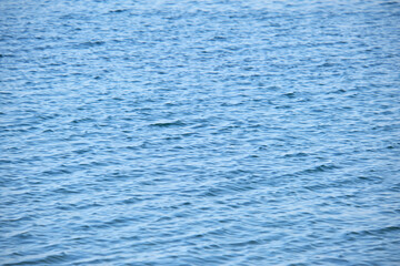 Closeup seascape surface of blue sea water with small ripple waves