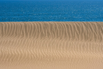 Fototapeta na wymiar Namibia, the Namib desert, landscape of yellow dunes falling into the sea 