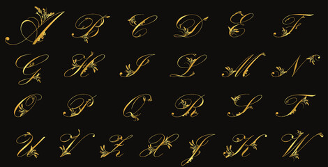 Elegant Calligraphic Font. Floral decorative font, Capital letters.