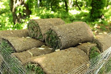 Closeup of carpet grass rugs outdoors with green and brown pattern. Lawn of green grass and soil is rolled into rolls, the turf in a stack is ready for greening.