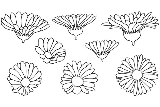 3,044,200+ Flower Stock Illustrations, Royalty-Free Vector