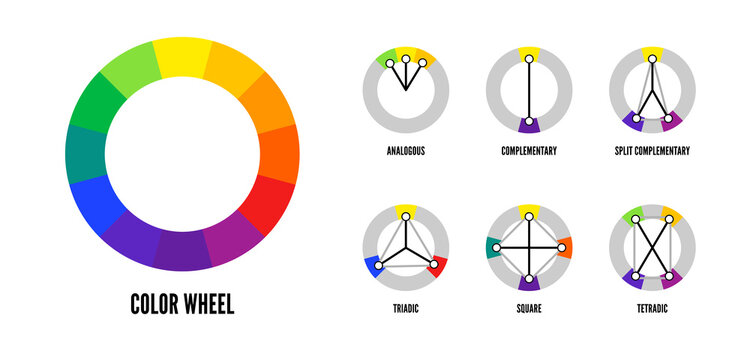 Color wheel harmonious color combinations vector template isolated on white background. Types of color mixing harmonies