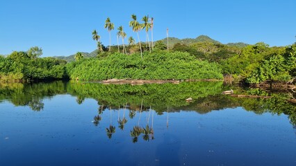 a body of water surrounded by trees