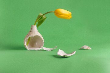 Broken vase with shards and a yellow tulip on a green background. Selective focus with copy space. natural light