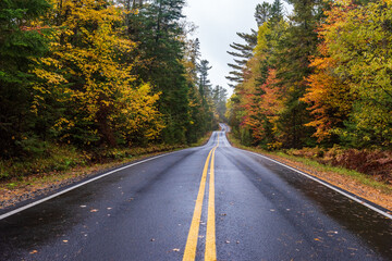 Bumpy Road - Adirondack Park Fall Foliage