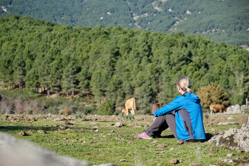 A beautiful woman sitting near cows grazing on green valley