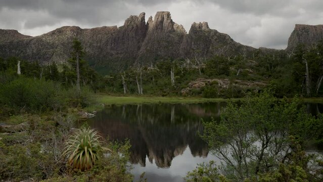 mt geryon and the pool of memories, with pandani in the foreground, at the labyrinth in cradle mountain-lake st clair national park of tasmania, australia