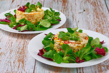 appetizing vegetarian fresh vegetable salads on white plates.