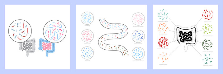 Probiotics set concept