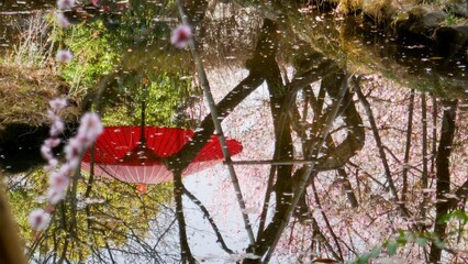 池に映る赤い傘と梅