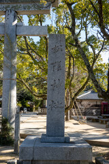 Fototapeta premium 松陰神社の鳥居
