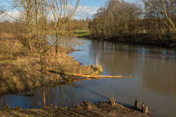 Bare trees on the banks of the Nidda river in winter, Frankfurt