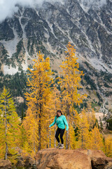 Fototapeta na wymiar Fit female hiking in a forest of golden larches in the fall