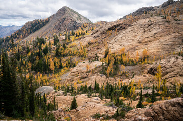Fototapeta premium Scenic alpine basin with golden alpine larches in the fall