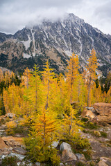 Fototapeta na wymiar Larches and Mount Stuart in The Alpine Lakes Wilderness During Autumn