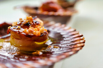 Grilled scallop with crispy garlic and olive oil - obrazy, fototapety, plakaty